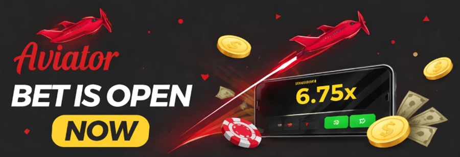 Aviator bet is open now